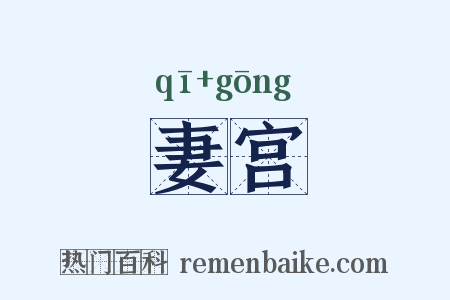 妻宫是什么意思的图片